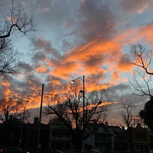 Meet your Posher, Kodi